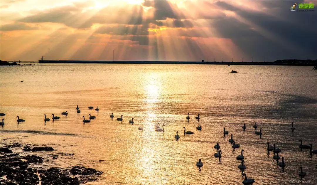 春节你的爱车可以停到这些地方,要过年了你的爱车保养了吗