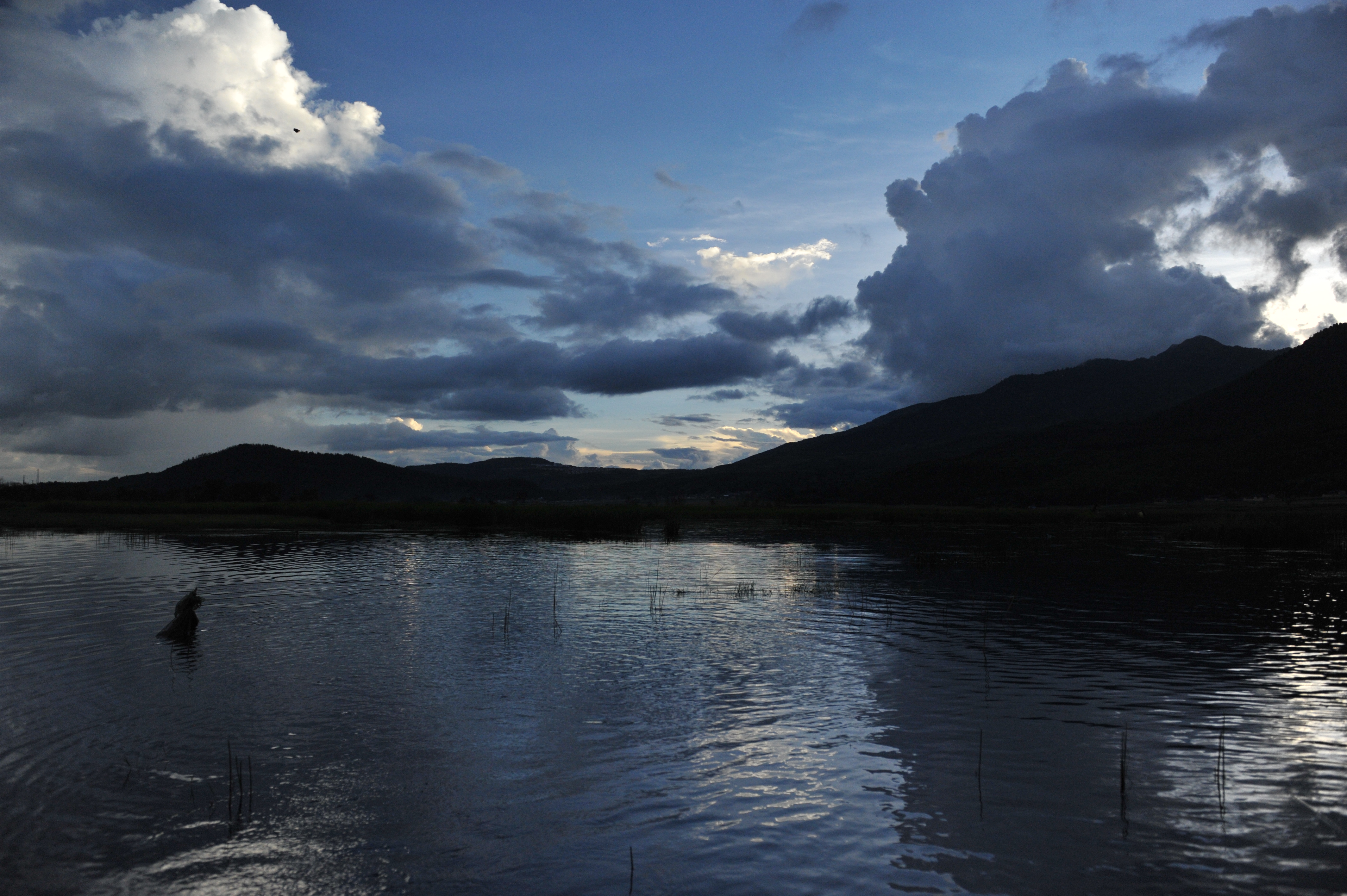 真实的神农架野人之谜,神农架最神秘传说
