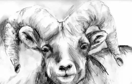 怎样零基础如何学画画,绘画8-12岁儿童学画画