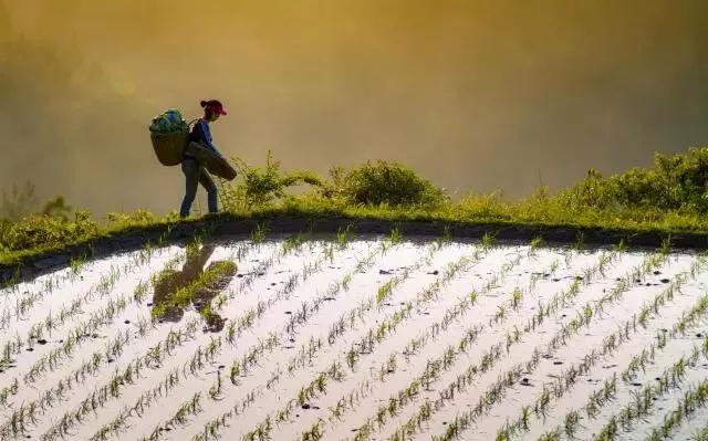 恩施，凭什么持续美哭全国，惊艳世界？