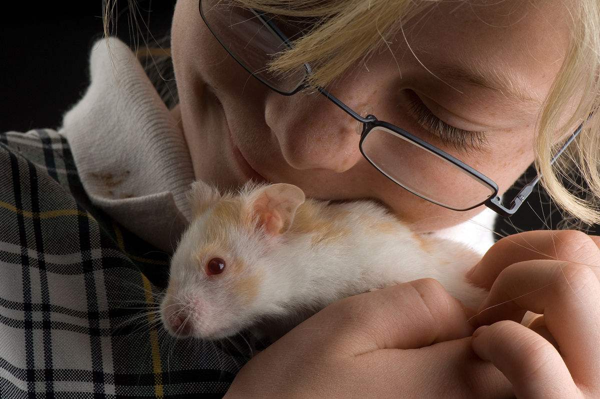 女儿失手踩死仓鼠,孩子故意踩死仓鼠没事吧