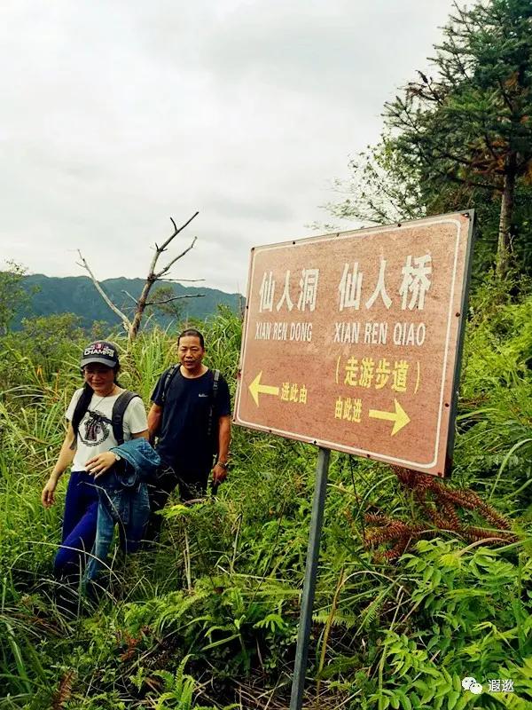 乐清仙溪有哪里好玩的 (乐清仙溪镇景点)