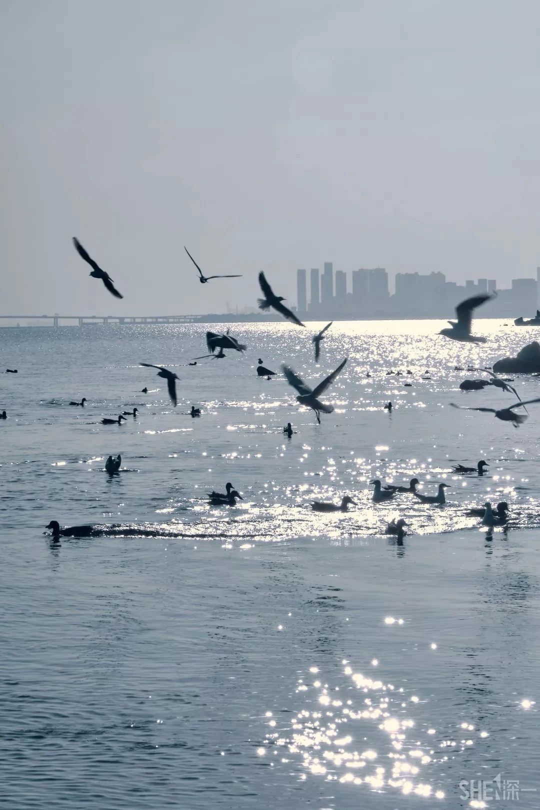 2021深圳免费适合遛娃玩地方排名,深圳免费游玩景点推荐