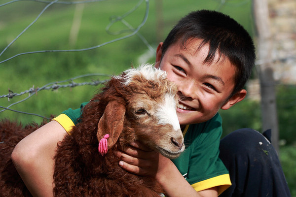 六月底的伊犁雪山,5月的伊犁草原