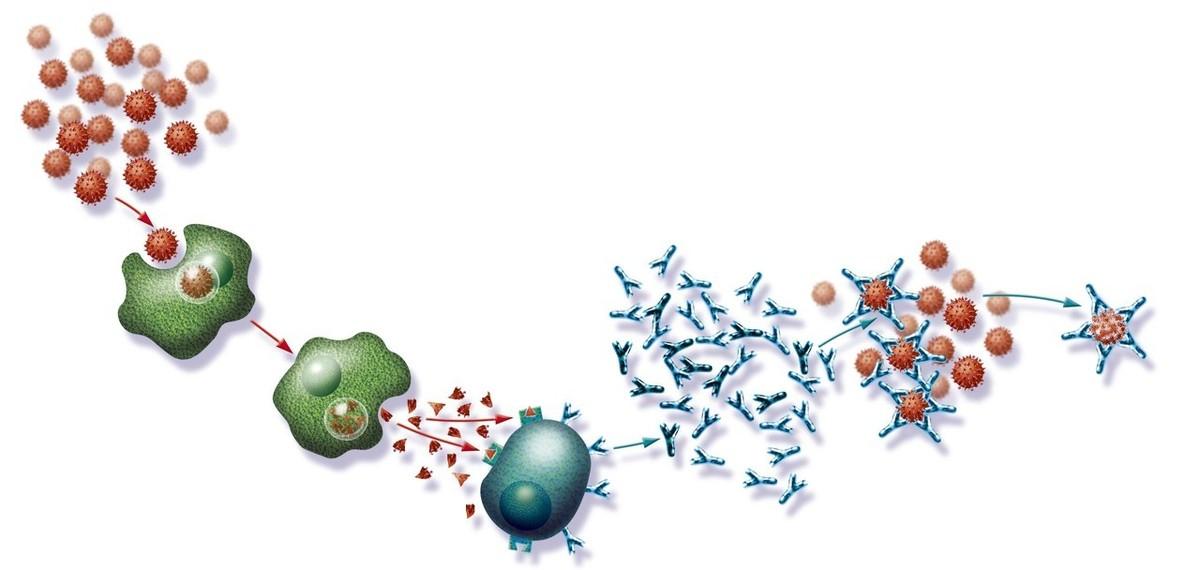 季节性过敏要停用护肤品吗,季节性过敏最快的解决方法