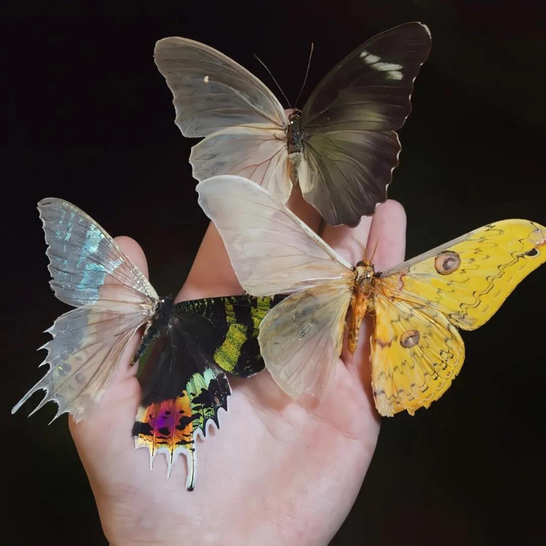 江苏省考准考证打印时间,cpa湖北准考证打印时间