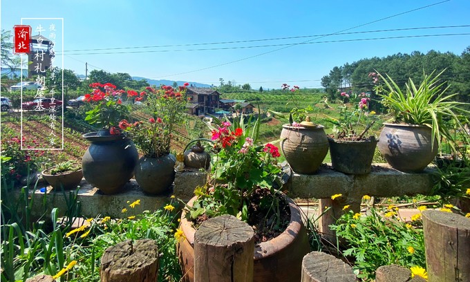 渝北周边采摘推荐,渝北茨竹附近采摘园