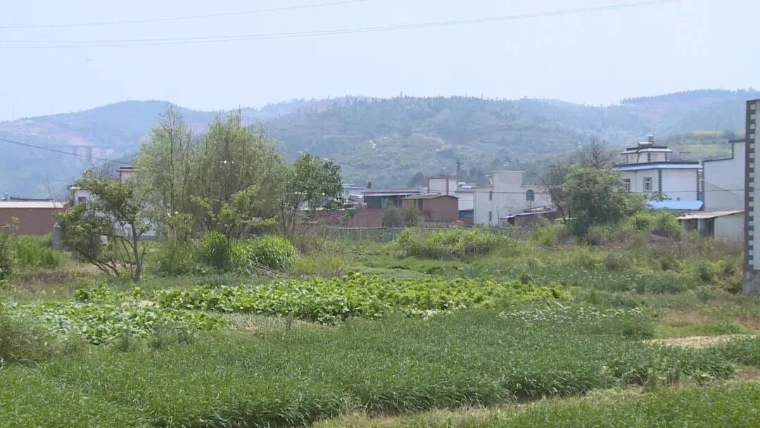 云南个旧市包家庄,个旧市鸡街镇的发展