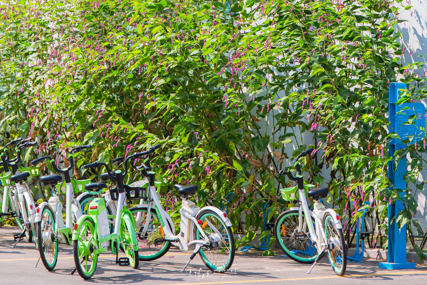 山东青州旅游攻略大全,山东青州旅游攻略夏天景点