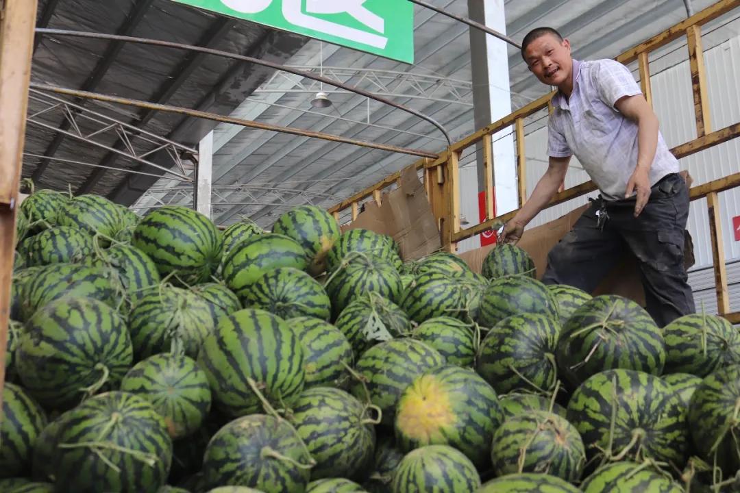 西瓜价格上涨原因,现在西瓜批发价格哪里最便宜