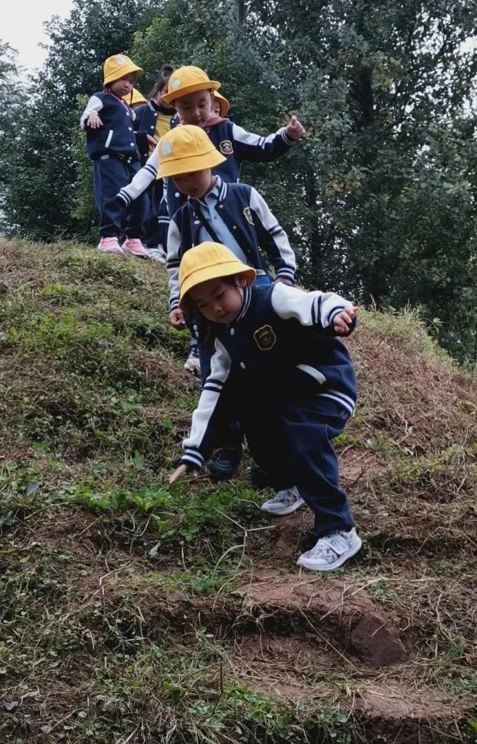 天府路小学秋季运动会,2019年成都市天府新区运动会