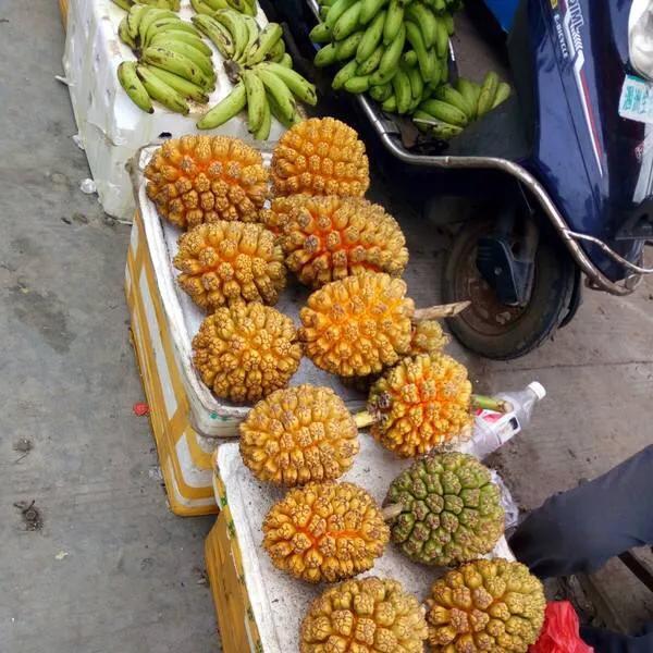 成都北海涠洲岛自由行,成都到涠洲岛攻略