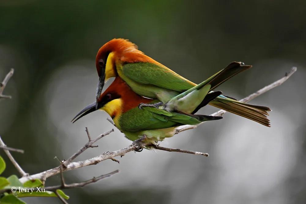 情人节适合干什么事,情人节对方做过最让你感动的事