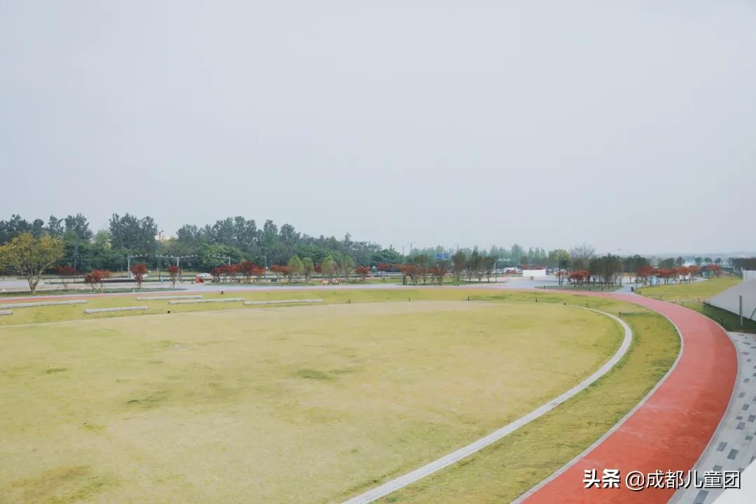 空港运动公园游玩攻略,空港体育公园是空港花田吗