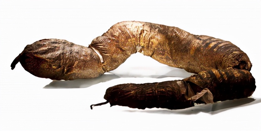 爱因斯坦的大脑解剖全过程,爱因斯坦的大脑为科学奉献一生