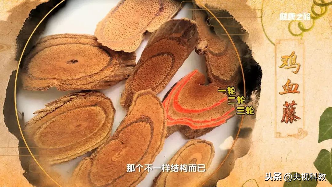 通经络的植物有哪些,绿植哪些有药用价值