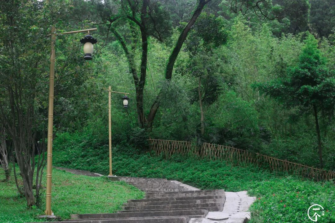 深圳一座被高估的城市,深圳严重被低估的板块