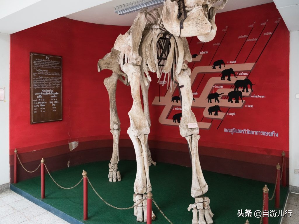 泰国武里南旅游,泰国武里南府