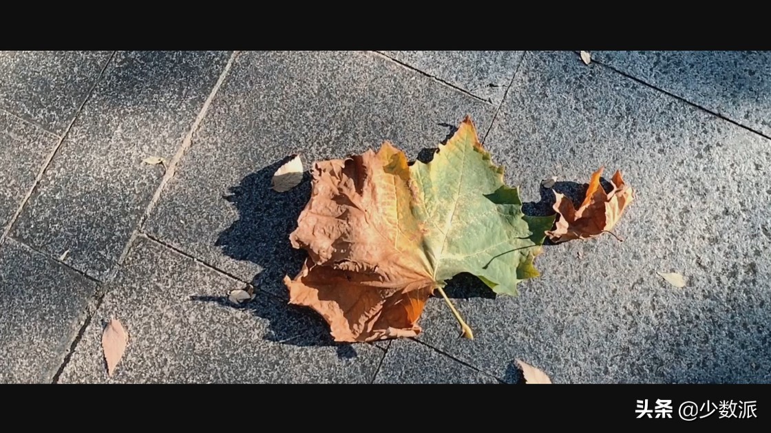 iPad是「无用的玩具」?用了一年,它为我打开了另一个世界