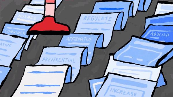 养蜗牛、古典学、预测新冠，深圳女孩被15所世界顶尖名校录取