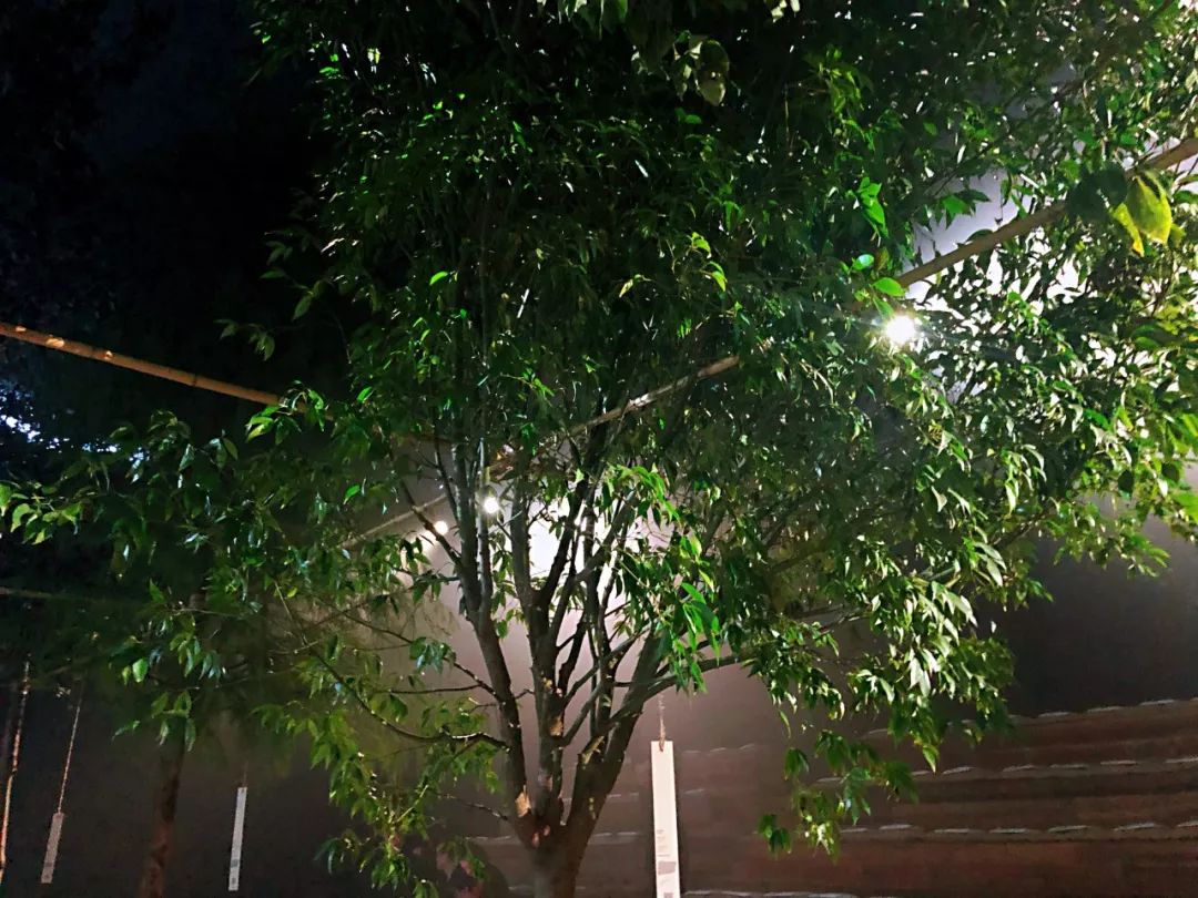 dior值得买的马鞍包是哪款,dior最好的十款包