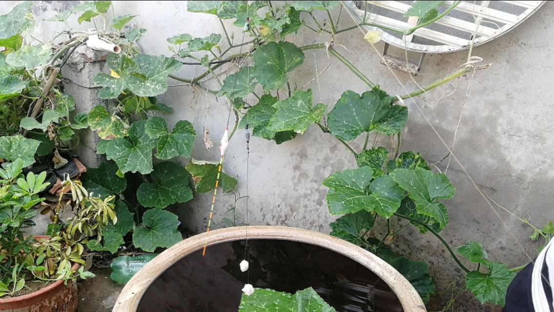 全网最详细的调漂讲解，这样要是还不理解，那我也没办法了！