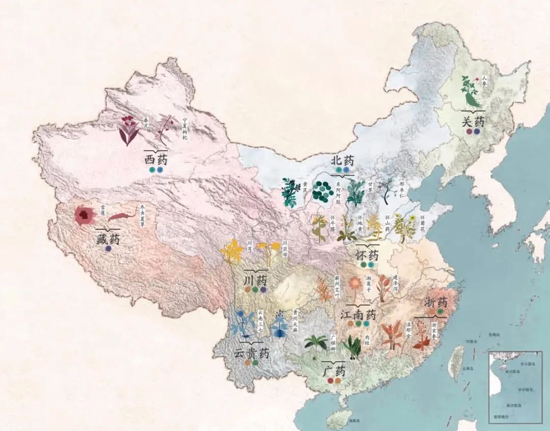 中医让人不相信的药材,难以接受的中药药材