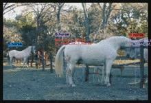 深兰科技ACMMM2020冠军，视频级别目标身份和动态