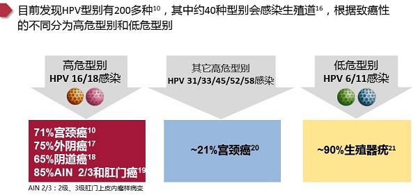 hpv阳性能备孕吗,备孕查出hpv阳性