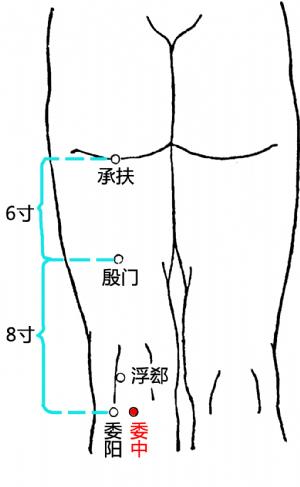 肱二肌疼,肘内侧痛
