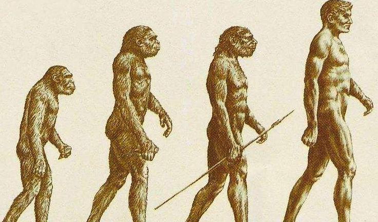 熊猫的外形和习性有趣之处,熊猫的特点和样子和习惯