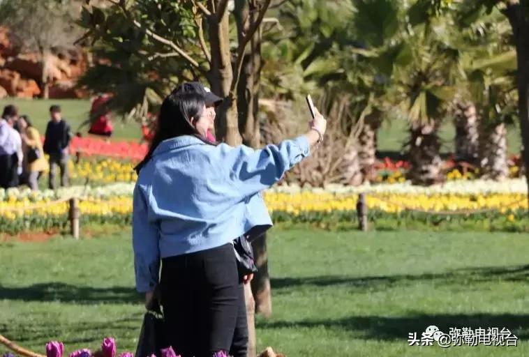 太热闹!弥勒花海、人海、车海、舞海...这些人上镜了!