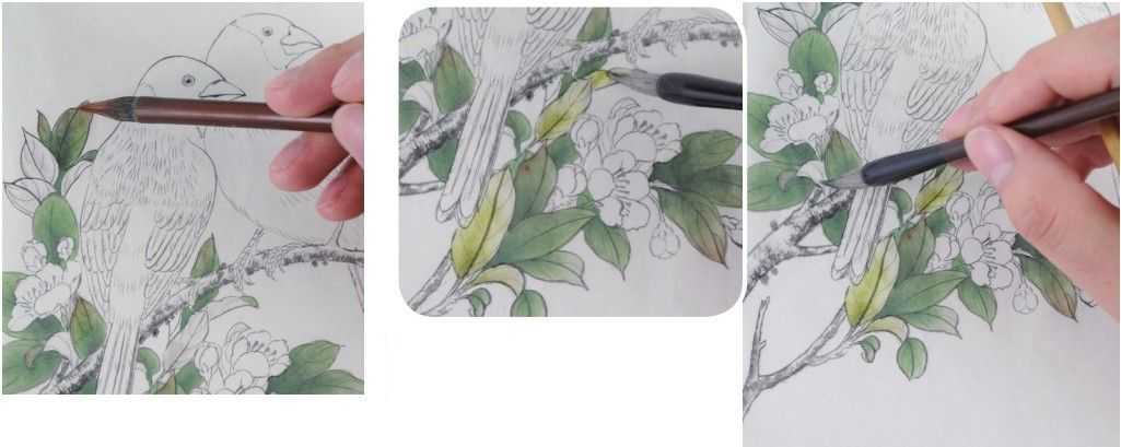 蜡嘴雀工笔画,蜡嘴鸟画画教程