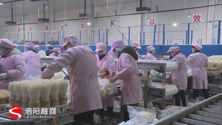 残疾人急需找工作,残疾人找工作在家呆着没意思