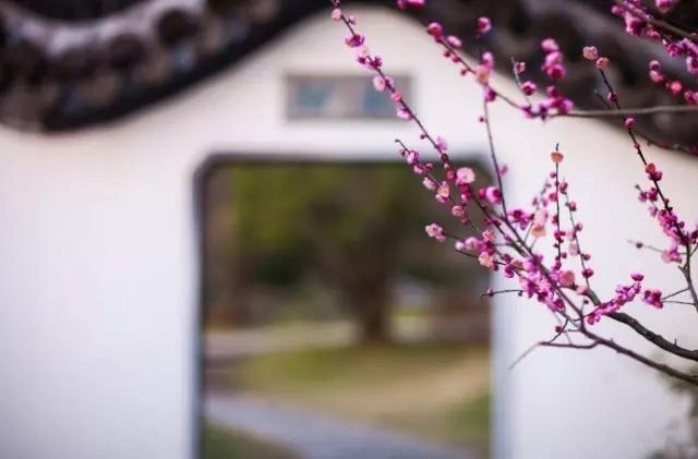 如此才华横溢,才华横溢十首诗