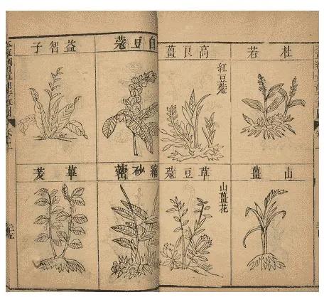 医院神秘科室有哪些,揭秘医院的视频