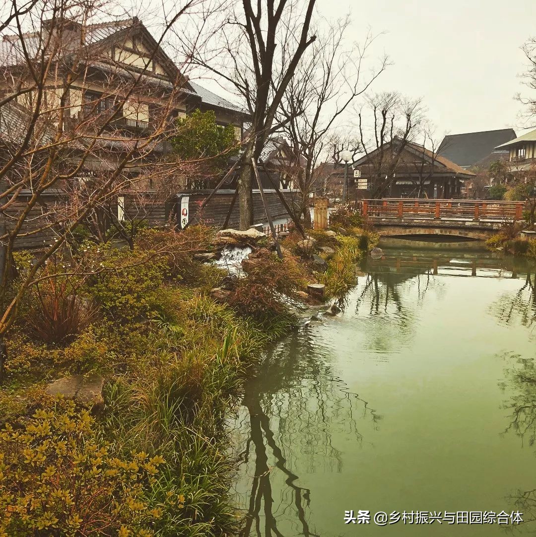 古朴悠然的禅意小镇,半农学院