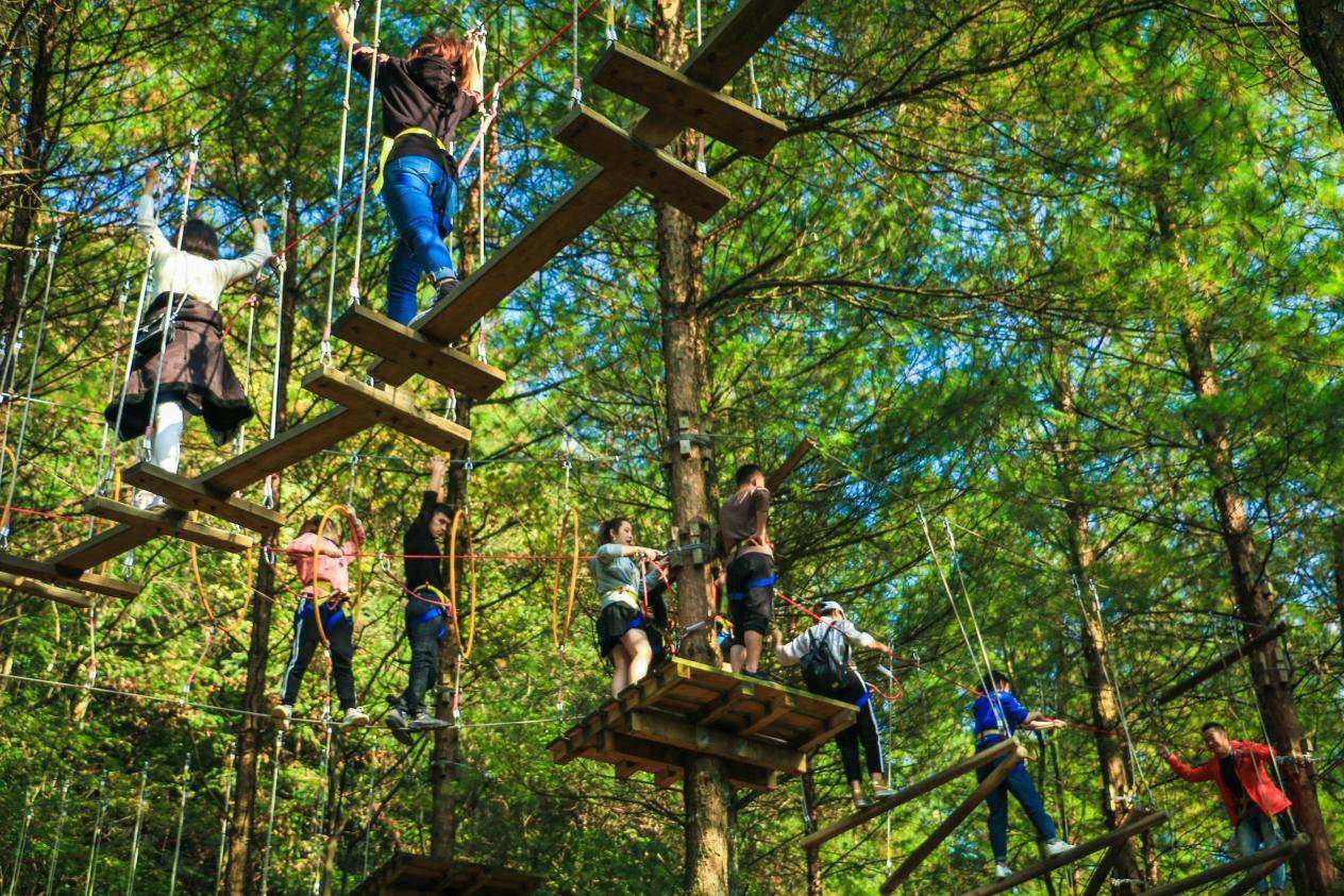 奥陶纪刺激惊险全部视频,奥陶纪三天两夜旅游景点推荐