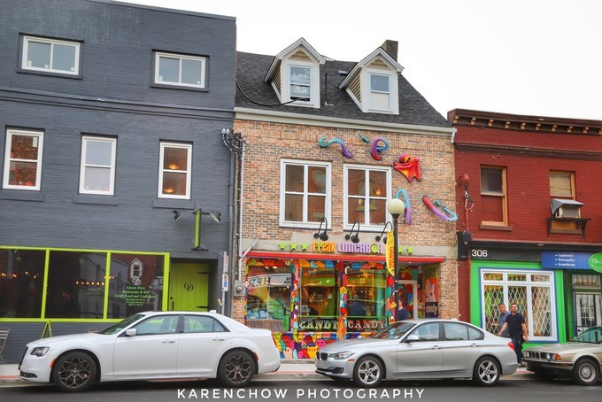 加拿大小众旅游目的地,加拿大纽芬兰自驾旅游