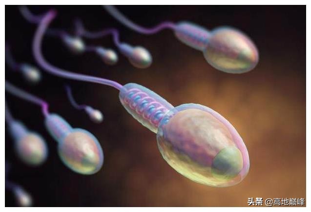 精子会一直残留在女人体内吗，多久才能排干净？