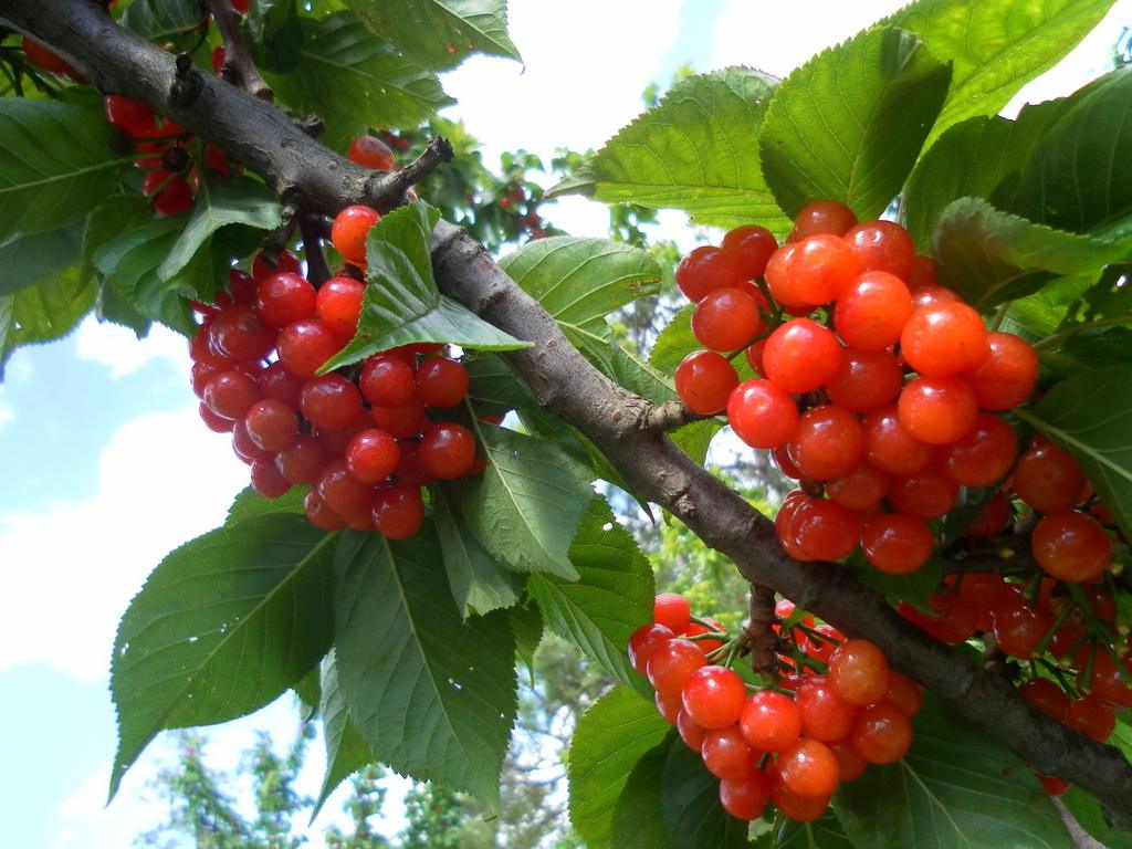 让群众望得见山看得见水的句子,让人民看得见山望得见水