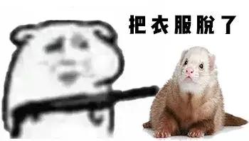 中国动物死亡事件,全国每年有多少动物死亡