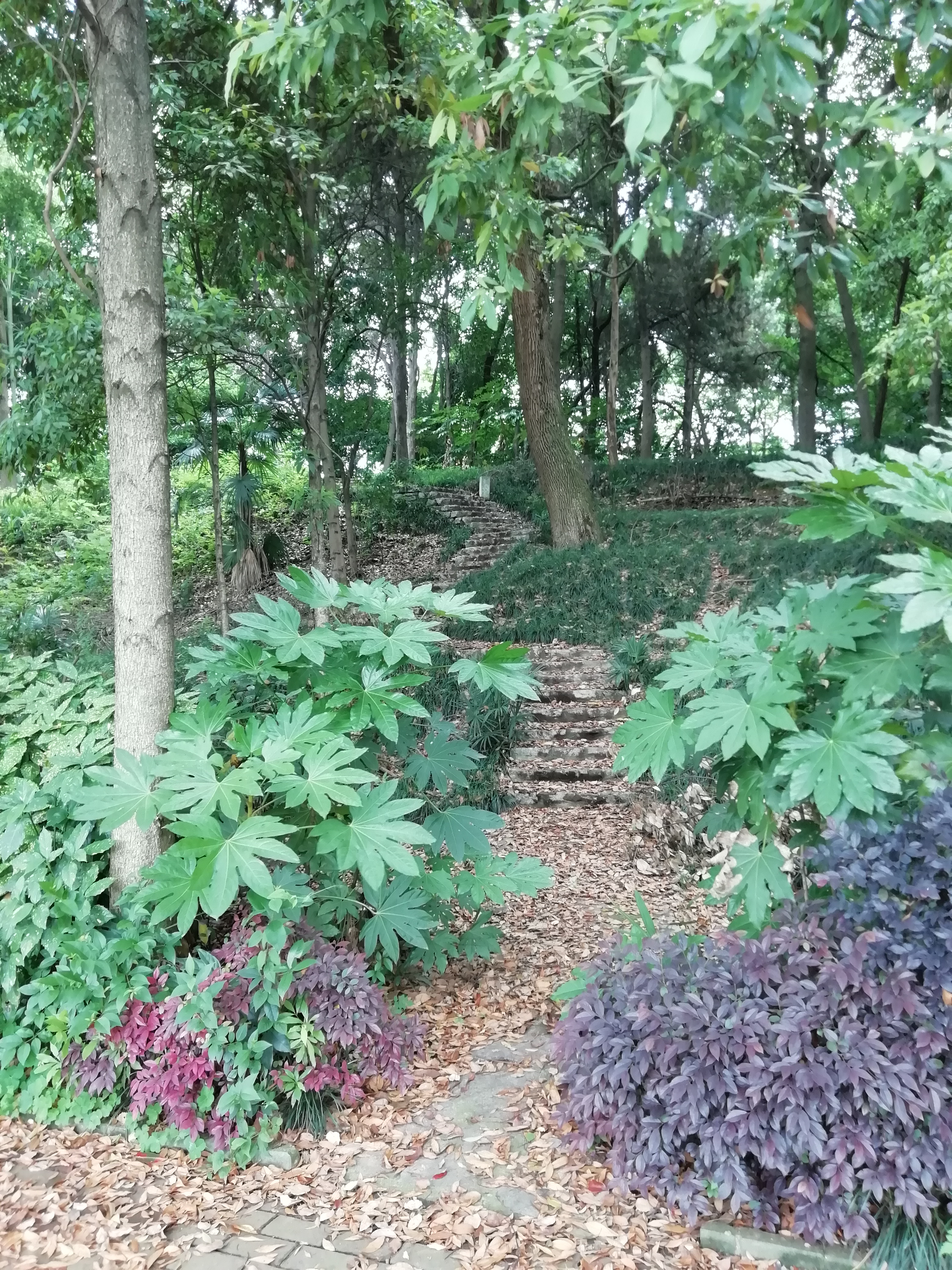 黄石市海观山宾馆怎么样,黄石海观山宾馆始建于何年