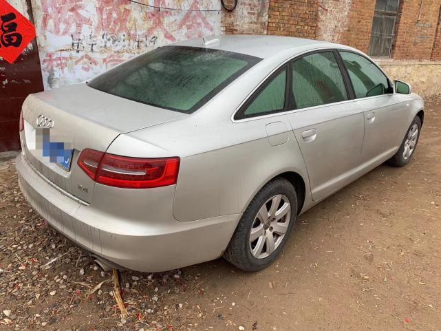 养殖场的猪全部死完了,养殖场猪瘟死亡人数