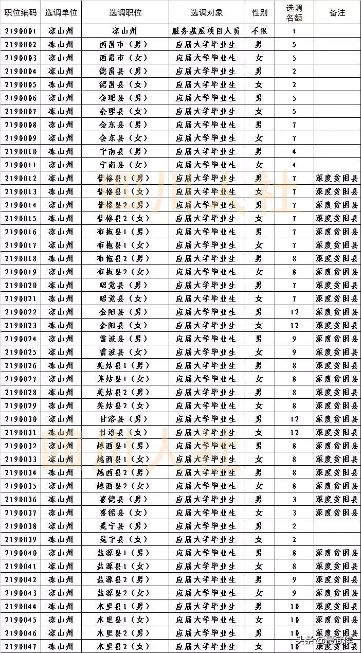 四川选调生2024选调公告官网,四川选调生2024选调公告名额