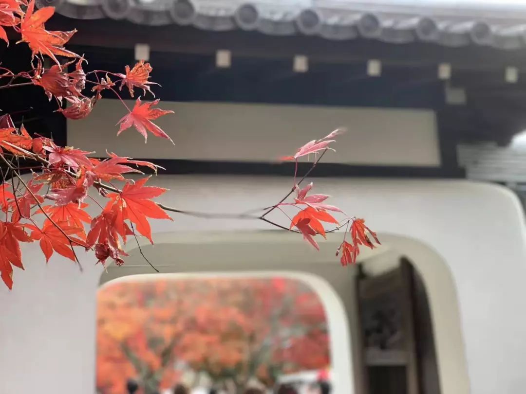 岚山哪有好玩的,日照岚山区值得去吗