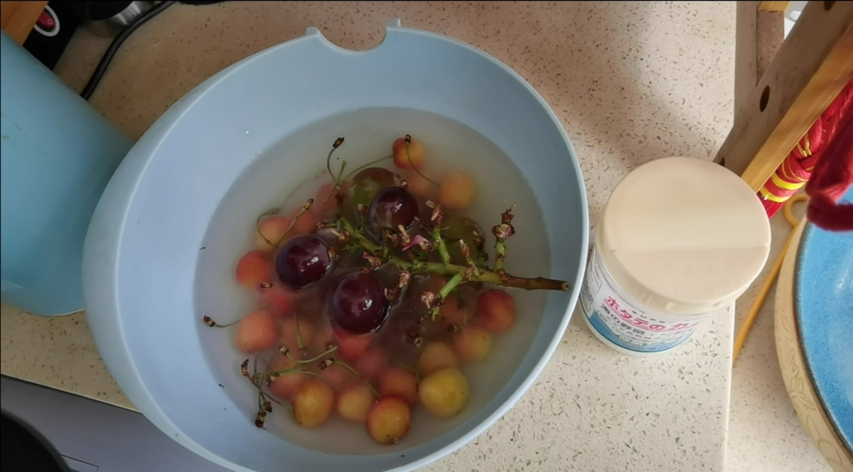 智商税贝壳粉测评,网上的贝壳粉怎么样