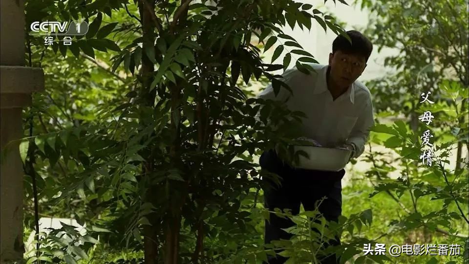 父母爱情为何拿奖,父母爱情总共获得几回奖