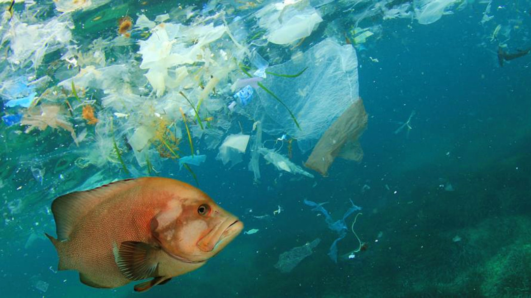 海水会喝死吗,海水为什么是咸的呢能喝吗