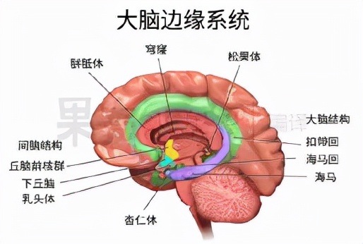 把孩子遗忘在车里的后续,把孩子忘在车里